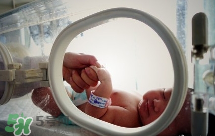 人造子宮能生孩子嗎？人造子宮初現(xiàn)曙光