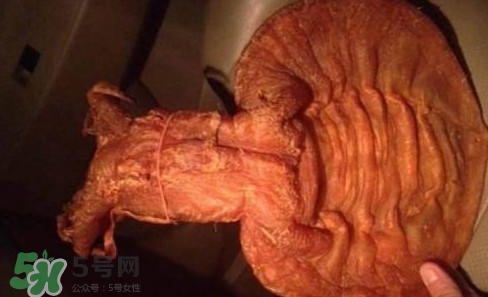 黃唇魚魚鰾是什么？魚鰾是魚的哪個(gè)部位