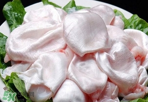 黃唇魚(yú)鰾是魚(yú)肚嗎？黃唇魚(yú)鰾是魚(yú)泡嗎