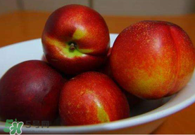 油桃是熱性還是涼性？油桃是寒性水果嗎？