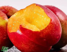 油桃是熱性還是涼性？油桃是寒性水果嗎？