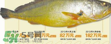 孕婦能吃金錢鱉嗎？懷孕期間能不能吃金錢鱉？