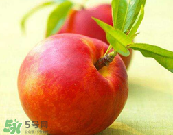 油桃什么人不能吃？油桃的禁忌