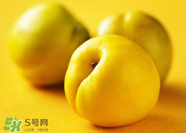 油桃和芒果可以一起吃嗎？芒果和油桃能一起吃嗎？