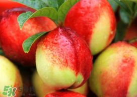 油桃和芒果可以一起吃嗎？芒果和油桃能一起吃嗎？