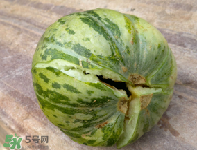 香瓜裂口怎么回事？香瓜裂了怎么辦？