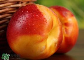 油桃怎么洗？油桃怎么洗干凈？