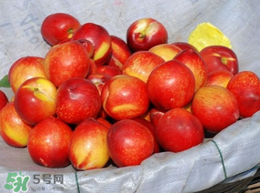 油桃怎么洗？油桃怎么洗干凈？