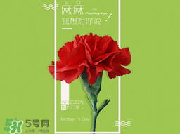 2017年母親節(jié)會(huì)打折嗎？2017年母親節(jié)有什么優(yōu)惠活動(dòng)？