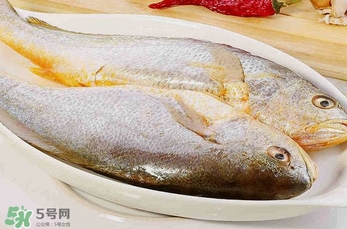 黃花魚多少錢一斤？野生黃花魚多少錢一斤