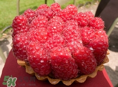 空心泡是否就是覆盆子？覆盆子是水果嗎