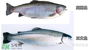 三文魚有刺嗎？三文魚的刺怎么處理