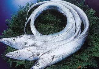 三文魚多少錢一斤2017？新鮮三文魚多少錢一條2017？