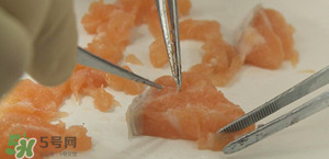 三文魚有刺嗎？三文魚的刺怎么處理