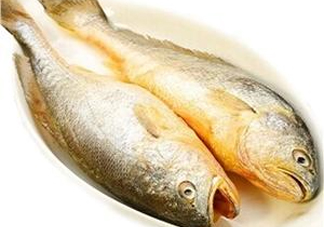 黃花魚多少錢一斤？野生黃花魚多少錢一斤