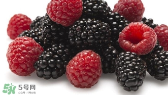 覆盆子是什么？覆盆子是樹(shù)莓嗎