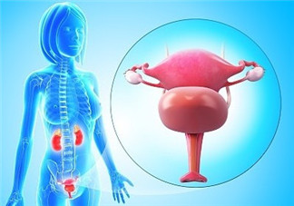 人造子宮能生孩子嗎？人造子宮初現(xiàn)曙光