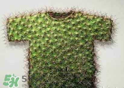 貞操褲怎么上廁所？貞操褲圖片