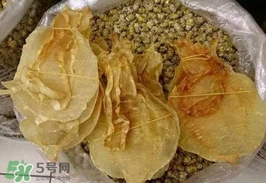 金錢鳘值多少錢？金錢鳘魚膠功效