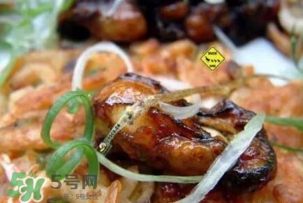 丹麥生蠔能吃嗎？生蠔的吃法大全集