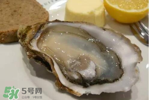 丹麥生蠔能吃嗎？生蠔的吃法大全集