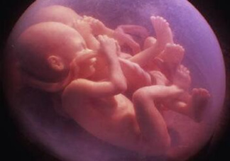 胎兒在媽媽肚子里都會干啥？胎兒的神奇世界