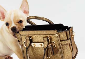 蔻馳是奢侈品嗎？蔻馳算不算奢侈品？