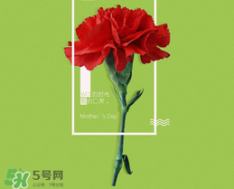 母親節(jié)送什么禮物給老婆？2017年母親節(jié)送老婆禮物推薦