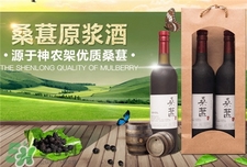 桑葚酒的營(yíng)養(yǎng)價(jià)值_桑葚酒的功效與作用 桑葚酒的營(yíng)養(yǎng)價(jià)值_桑葚酒的功效與作用