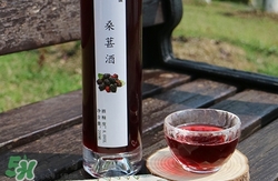 桑葚酒怎么泡?桑葚酒如何泡?桑葚酒的泡法 桑葚酒怎么泡?桑葚酒如何泡?桑葚酒的泡法