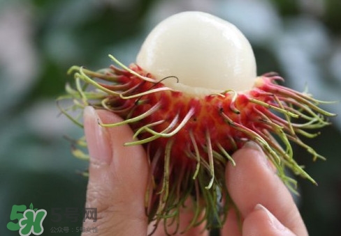 紅毛丹什么時候上市？紅毛丹什么季節(jié)有？