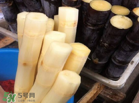 五月份還有甘蔗嗎？5月份還有甘蔗嗎？
