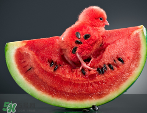 5月份的西瓜能吃嗎？五月份的西瓜能吃嗎？