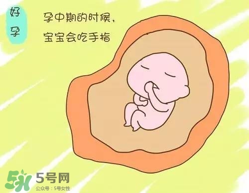 胎兒在媽媽肚子里都會(huì)干啥？胎兒的神奇世界