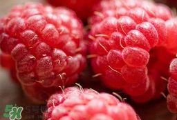 覆盆子怎么吃？覆盆子如何吃