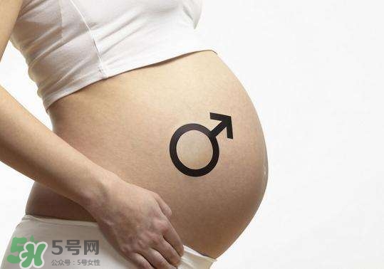 怎么問(wèn)醫(yī)生胎兒性別？醫(yī)生會(huì)告訴胎兒性別嗎？