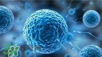 怎么問(wèn)醫(yī)生胎兒性別？醫(yī)生會(huì)告訴胎兒性別嗎？