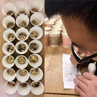 麥片什么牌子好？進(jìn)口麥片哪個牌子好吃