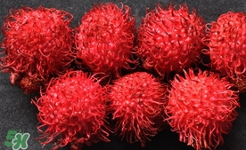 紅毛丹什么時候上市？紅毛丹什么季節(jié)有？