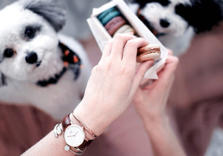 dw手表香港專柜在哪里？dw手表香港多少錢？