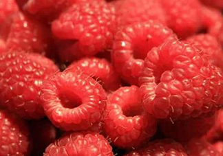 <strong>山莓是什么？山莓是水果嗎？</strong>