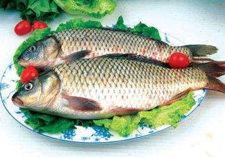 ?五月份吃什么魚？5月份吃什么魚？