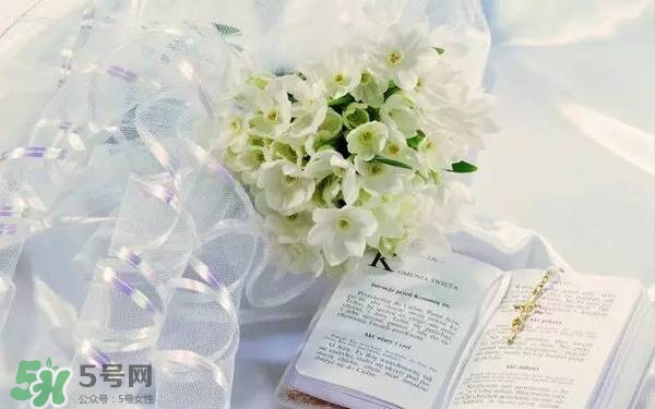 jill stuart湛藍(lán)祝福限定系列有哪些？jill stuart湛藍(lán)限定多少錢？