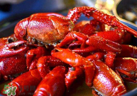 小龍蝦什么時候最好釣？什么時候可以釣小龍蝦？