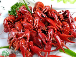 野生小龍蝦能吃嗎？野生小龍蝦吃了會(huì)中毒嗎？