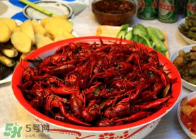 野生小龍蝦什么時(shí)候有？野生小龍蝦幾月份有？