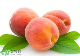 桃子為什么不能和西瓜一起吃？桃子和西瓜為什么不能一起吃？