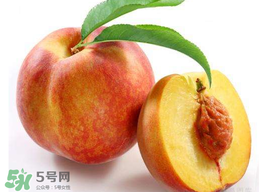 桃子可以放冰箱嗎？桃子能放冰箱保鮮嗎？