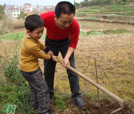 五月份適合種哪些果樹(shù)？五月份種什么水果？