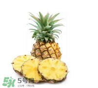 孕婦能吃菠蘿嗎？菠蘿孕婦能不能吃？